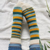 

Mimidae - Socken
4