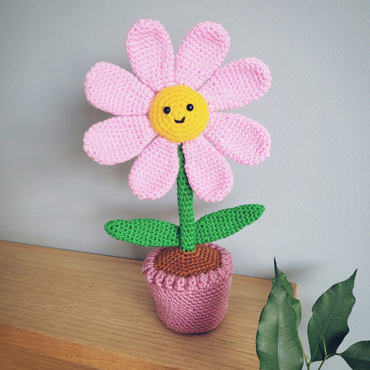 Flora der Blumentopf