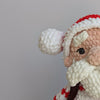

Kuscheliger Weihnachtsmann
5