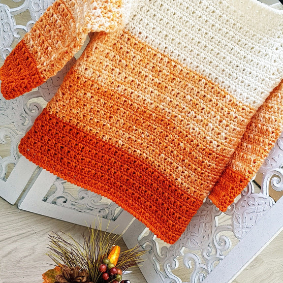 

Pumpkin Pullover
4
