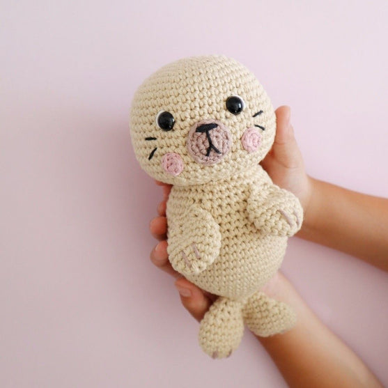 

Sandy, der Seelöwe
2